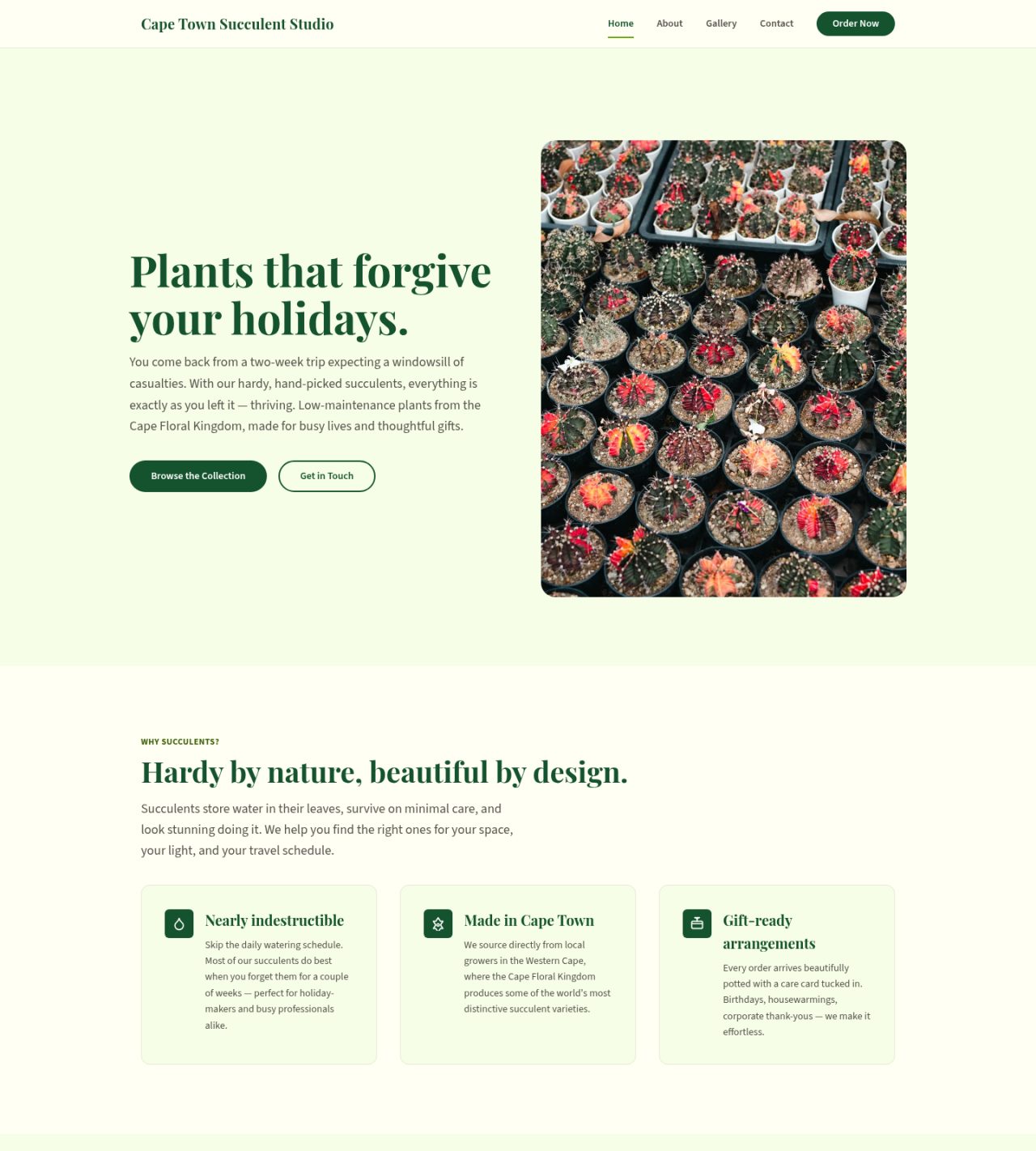 Cape Town Succulent Studio demo website